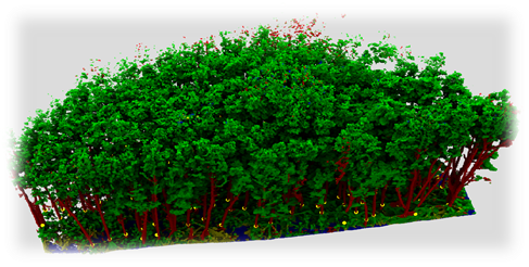 Forest point cloud before canopy removal showing dense vegetation surrounding stems