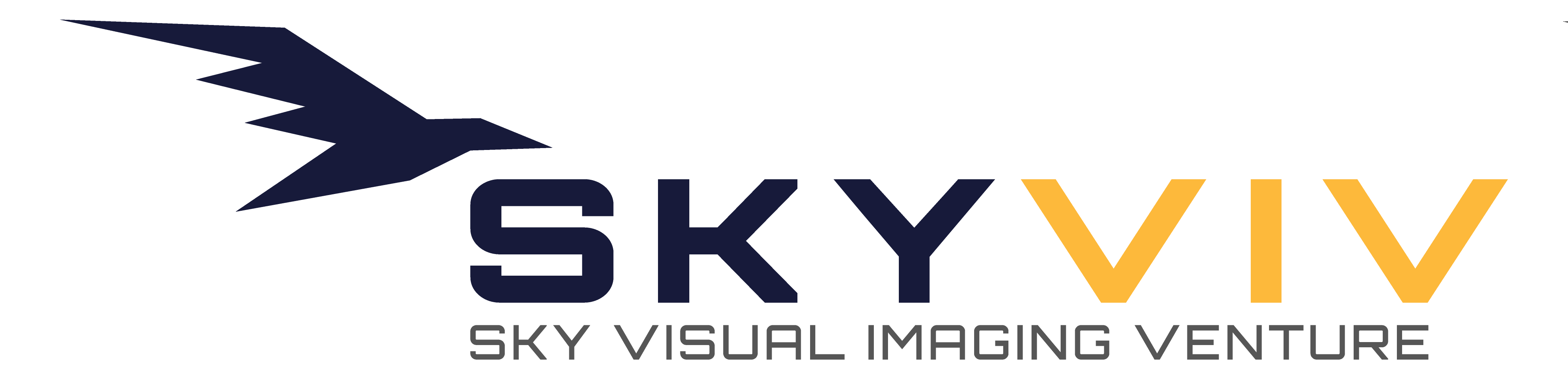 SKYVIV logo