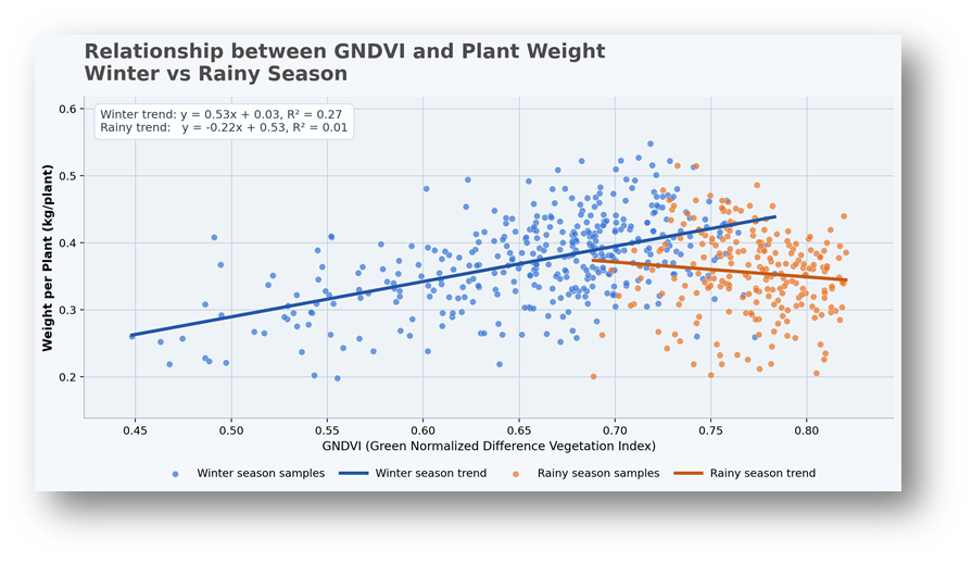Scatter plot showing relationship between GNDVI and plant weight in Winter and Rainy seasons