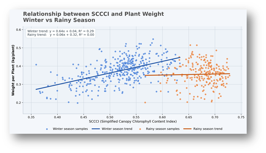 Scatter plot showing relationship between SCCCI and plant weight in Winter and Rainy seasons